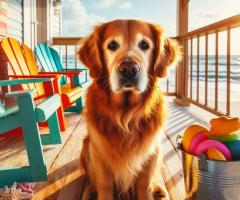 Urlaub mit Hund Geheimtipp